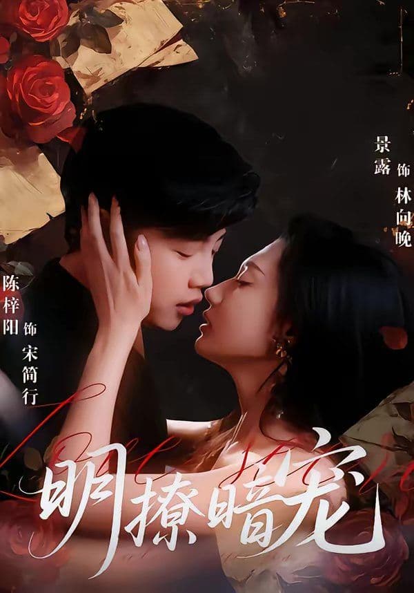 明撩暗宠 - 短剧 (2026) 海报