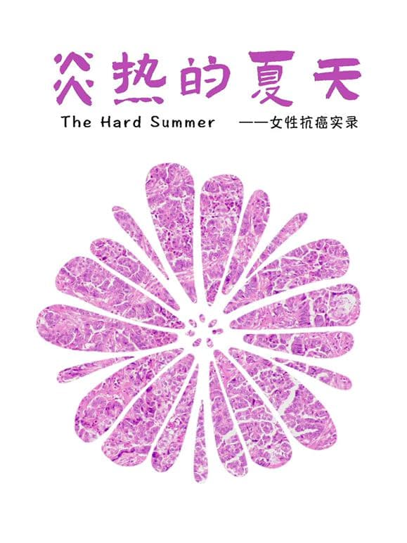 炎热的夏天 - 纪录片 (2025) 海报