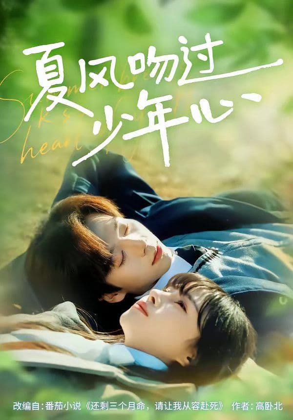 夏风吻过少年心 - 短剧 (2026) 海报