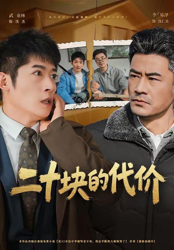 二十块的代价 - 短剧 (2026) 海报