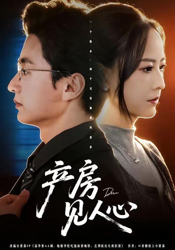 产房见人心 - 短剧 (2026) 海报