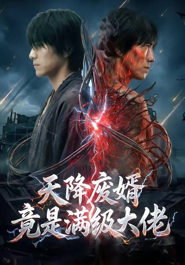 天降废婿竟是满级大佬 - 短剧 (2026) 海报