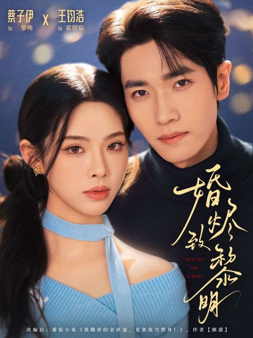 婚烬致黎明 - 短剧 (2026) 海报