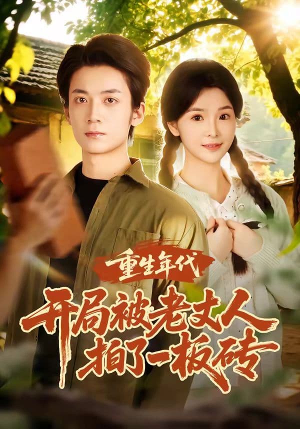重生年代开局被老丈人拍了一板砖 - 短剧 (2026) 海报