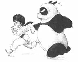 乱马OVA：邪恶之鬼 - 动漫电影 (1995) 海报