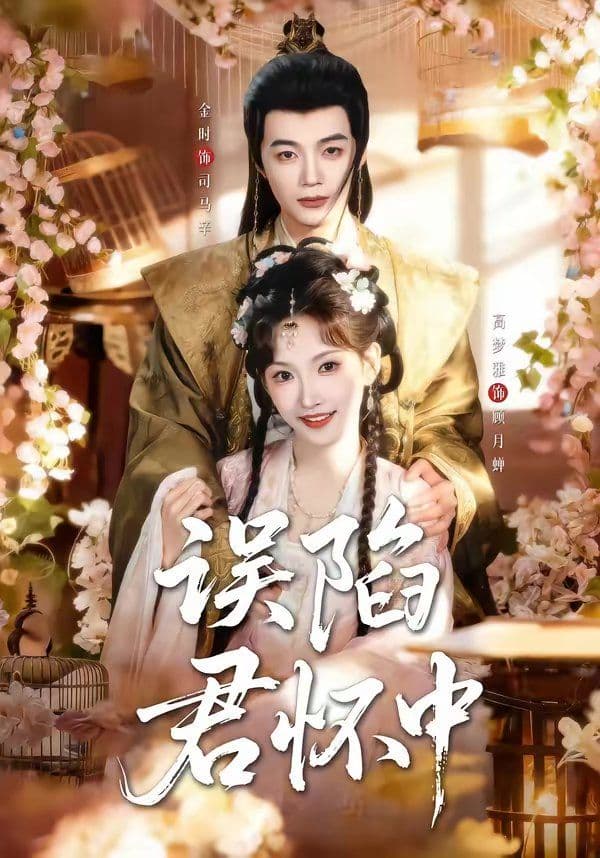 误陷君怀中 - 短剧 (2026) 海报