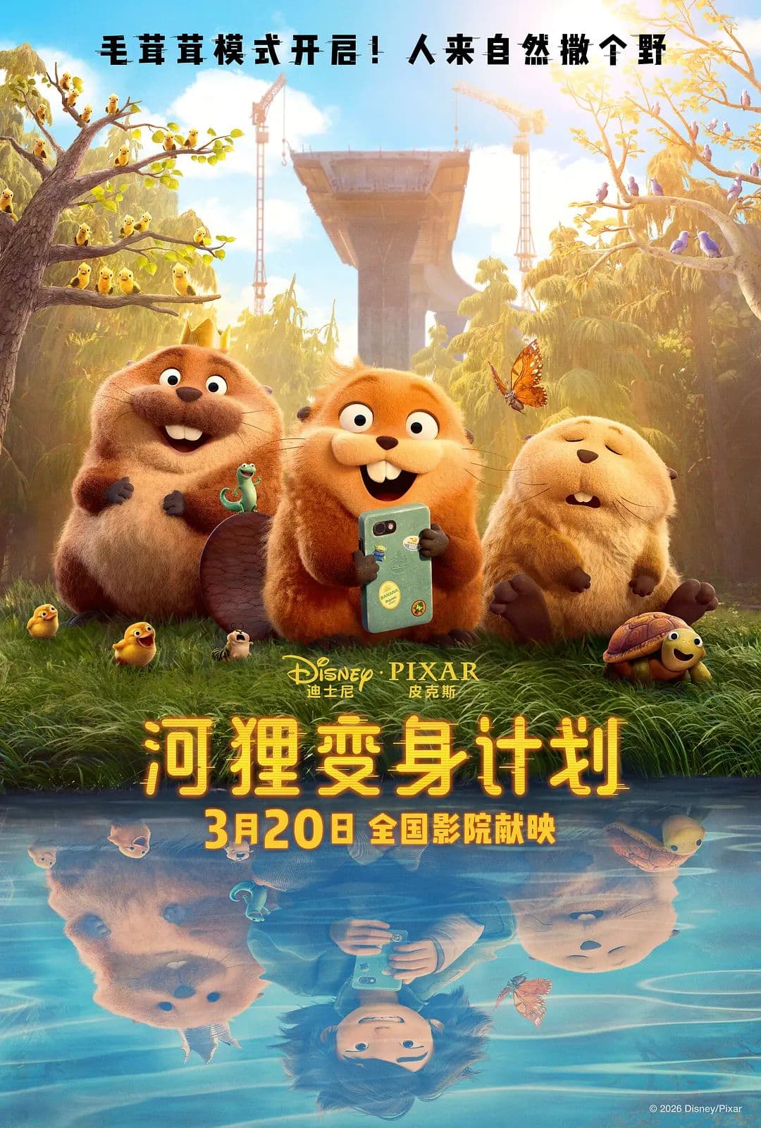 河狸变身计划（普通话版） - 动漫电影 (2026) 海报
