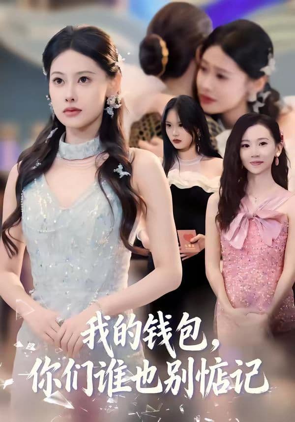 我的钱包,你们谁也别惦记 - 短剧 (2026) 海报