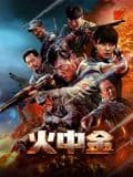 火中金 - 战争片 (2025) 海报