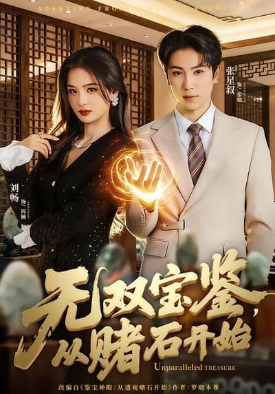 无双宝鉴，从赌石开始 - 短剧 (2026) 海报