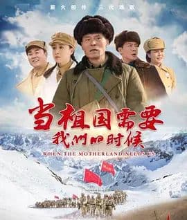 当祖国需要我们的时候 - 国产剧 (2022) 海报