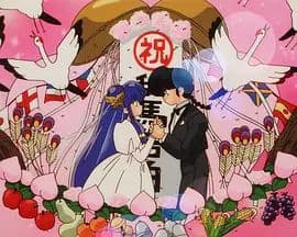乱马1/2：OVA 珊璞暴变—反转宝珠之祸 - 动漫电影 (1993) 海报