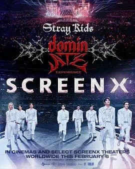 Stray Kids:主宰一切的体验 - 纪录片 (2026) 海报