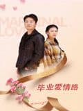 毕业爱情路 - 爱情片 (2026) 海报