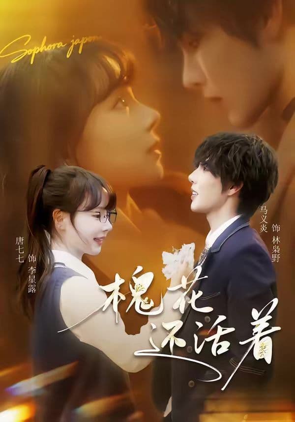 槐花还活着 - 短剧 (2026) 海报