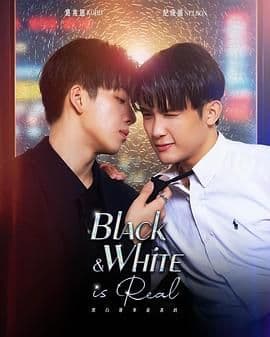 黑白原来是真的 - 台湾剧 (2025) 海报