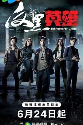 反黑英雄 普通话版 - 香港剧 (2024) 海报