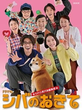 柴犬的规矩我们这群狗痴编辑部 - 日剧 (2025) 海报