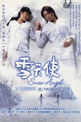 雪天使 - 台湾剧 (2004) 海报