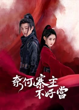 奈何寨主不好当 - 国产剧 (2023) 海报