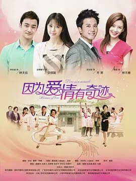 因为爱情有奇迹DVD - 国产剧 (2014) 海报