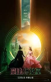 魔法坏女巫 - 爱情片 (2024) 海报