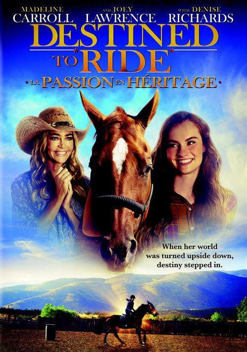 骏马开心果 - 家庭片 (2018) 海报