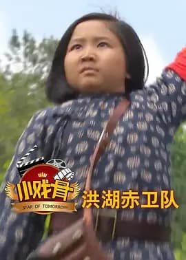 小戏骨：洪湖赤卫队 - 战争片 (0) 海报