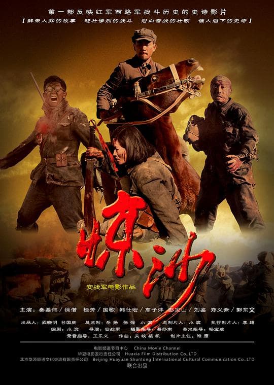 惊沙 - 战争片 (2011) 海报