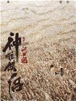 神雕侠侣 -问世间 - 古装片 (2025) 海报