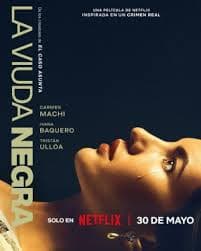 寡妇游戏 - 悬疑片 (2025) 海报