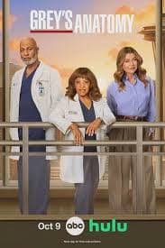 实习医生格蕾 第二十二季 - 欧美剧 (2025) 海报