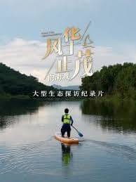 风华正茂 第三季 - 记录片 (2025) 海报