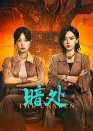 暗处 - 国产剧 (2026) 海报