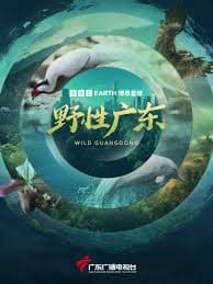 野性广东 - 记录片 (2025) 海报