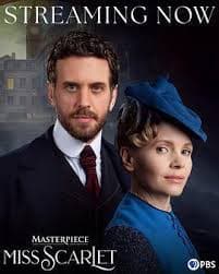 斯嘉丽小姐探案集 第六季 - 欧美剧 (2025) 海报