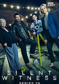 无声的证言 第二十九季 - 欧美剧 (2026) 海报