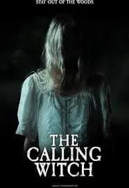 召唤女巫 - 恐怖片 (2025) 海报