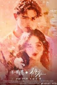 不一样的她之糖衣 - 国产剧 (2026) 海报