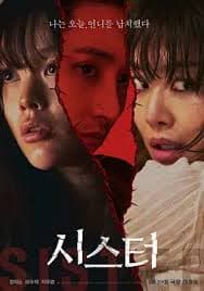 姐妹2026 - 犯罪片 (2026) 海报