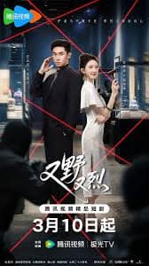 又野又烈 - 国产剧 (2026) 海报