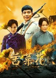 苦菜花 - 国产剧 (2026) 海报