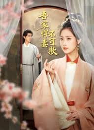 吾家悍妻不可欺 - 国产剧 (2026) 海报