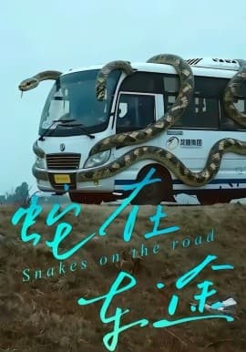 蛇在车途 - 短剧 (2026) 海报