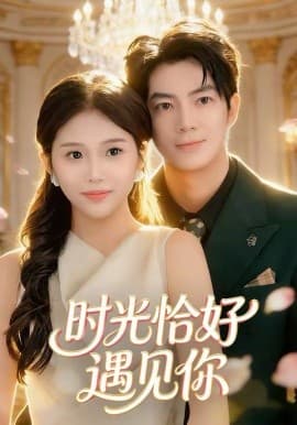时光恰好遇见你 - 短剧 (2026) 海报