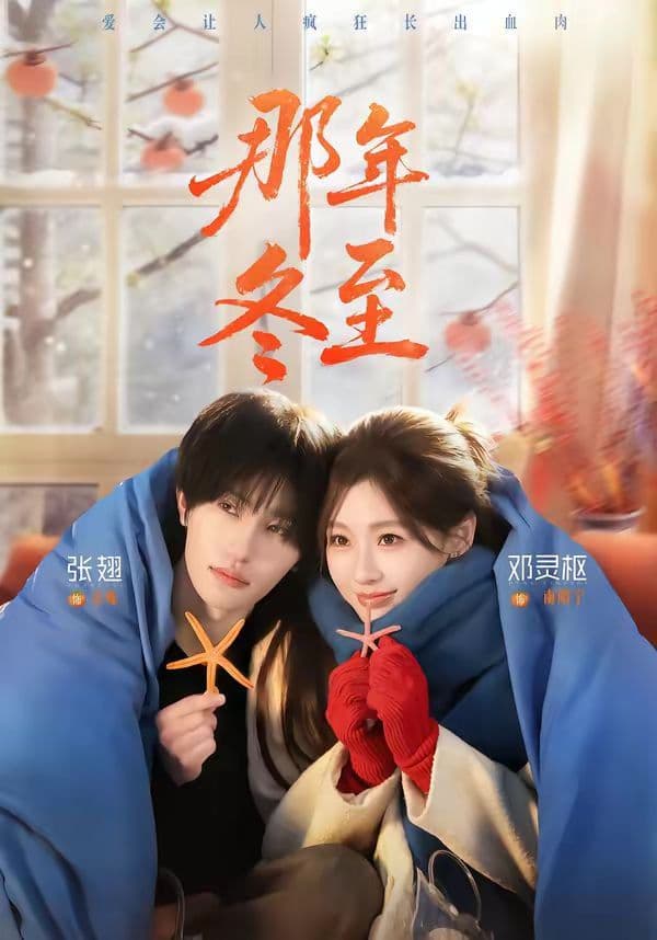 那年冬至 - 短剧 (2026) 海报