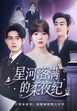 星河落满的柔夜纪 - 短剧 (2026) 海报