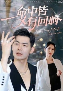 命中皆有回响 - 短剧 (2026) 海报