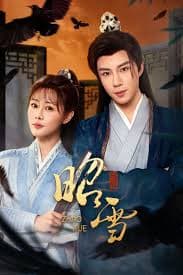 昭雪 - 国产剧 (2026) 海报