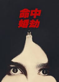 命中婚劫 - 欧美剧 (2026) 海报